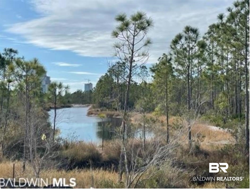 24191 Pepper Lane, Unit LOT 61 Orange Beach, AL 36561 - Photo 14 of 15