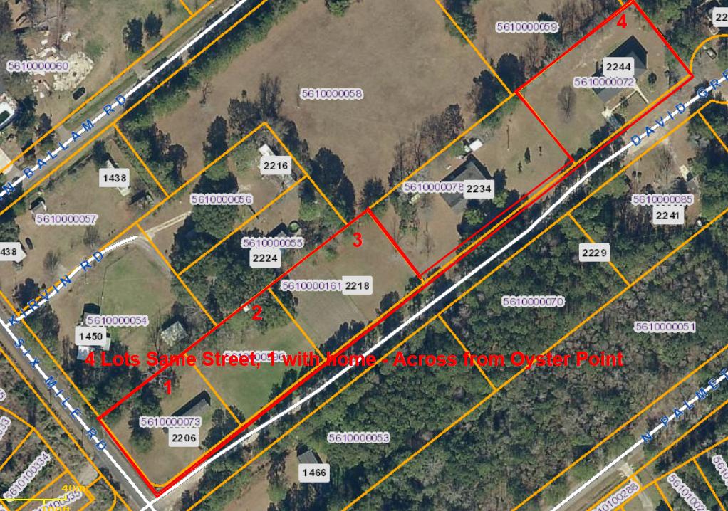 2212 David Green Road Mount Pleasant, SC 29466 - Photo 2 of 2 david green rd 4 lots w home