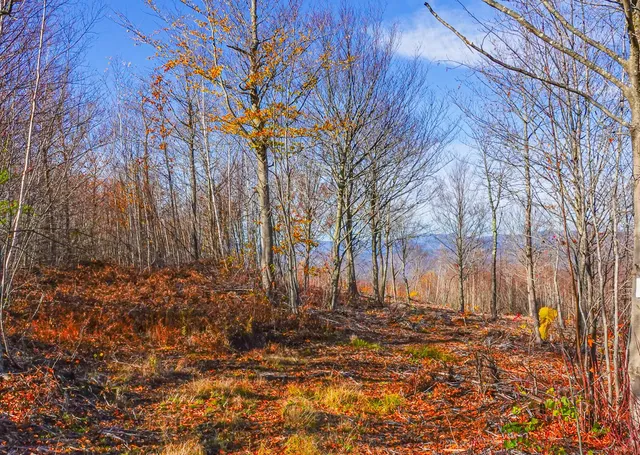 $144,900 | Lot 5 Mine Road, Stoneham, ME 04231