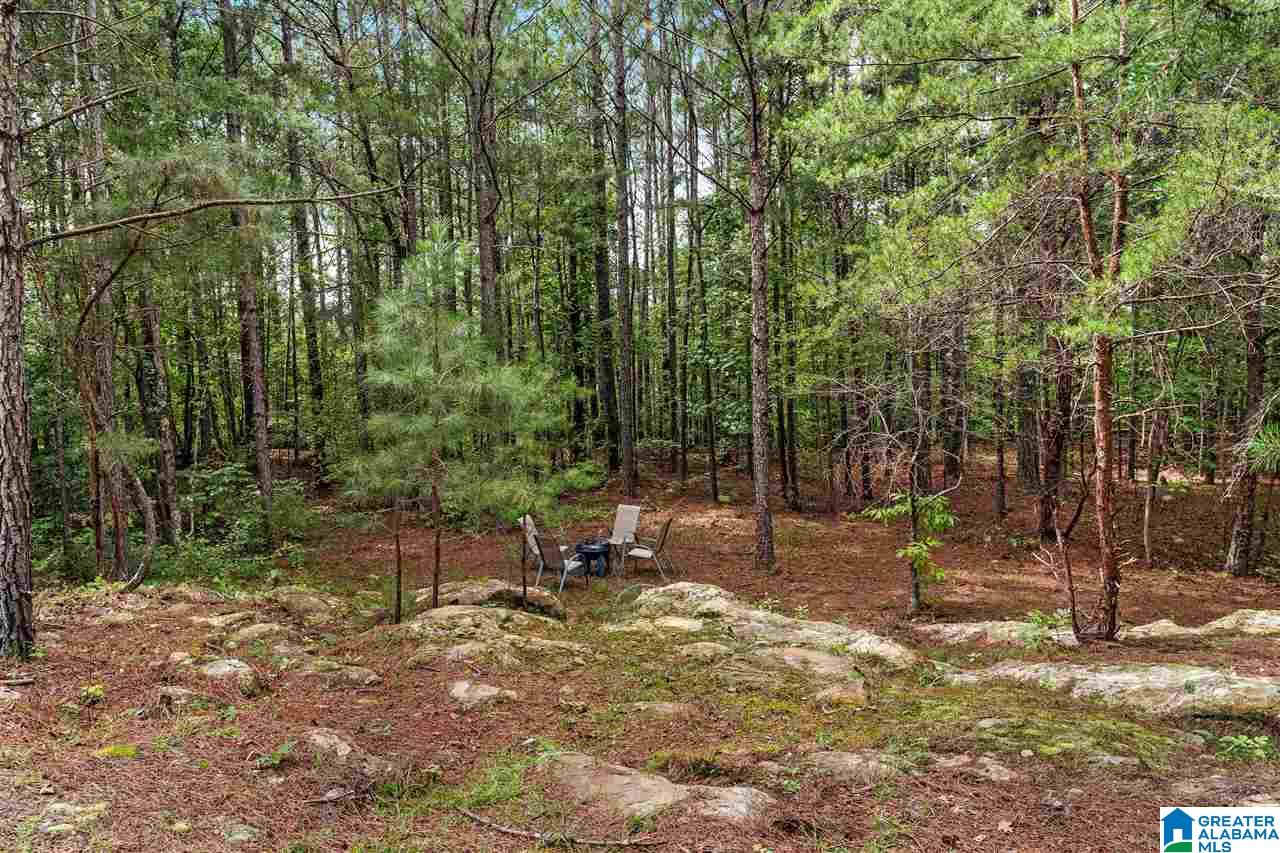 6791 Happy Hollow Road Trussville, AL 35173 - Photo 36 of 50