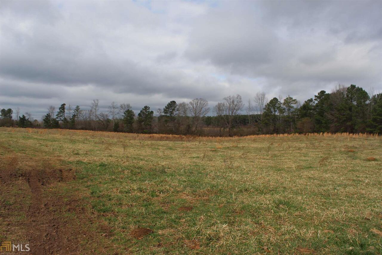 193 Cousins Road Greenville, GA 30222 - Photo 1 of 1 Gallery Image 1