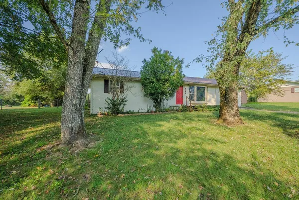 a view of a house with backyard and a tree