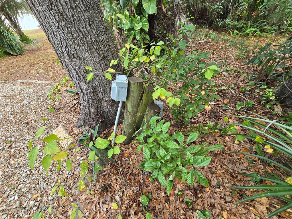 22200 Oneida Avenue Port Charlotte, FL 33952 - Photo 20 of 26 a plant that is in a garden