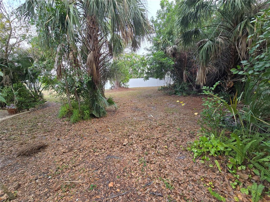 22200 Oneida Avenue Port Charlotte, FL 33952 - Photo 21 of 26 a view of a yard with plants and trees