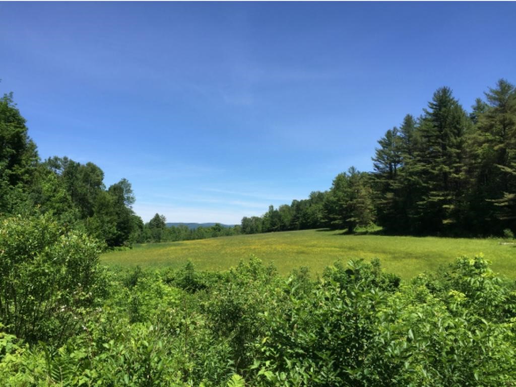 228 Leonard Road Sharon, VT 05068 - Photo 31 of 35
