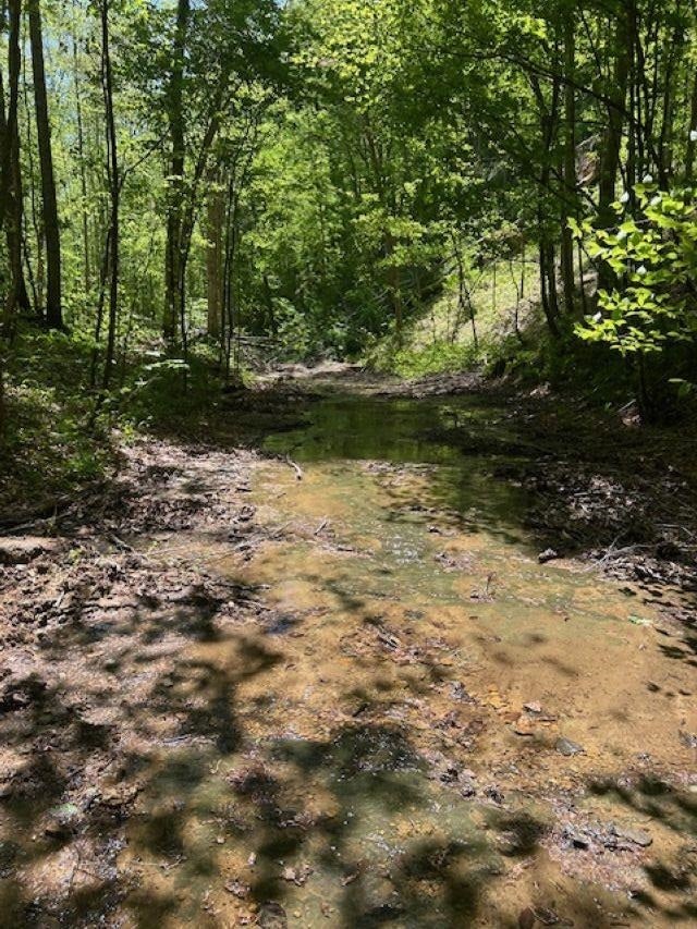 0 Greenbrier Road Breeding, KY 42715 - Photo 6 of 23 Gallery Image 6