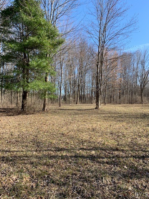 1 Sholtz Road Verona, NY 13478 - Photo 1 of 1 Gallery Image 1