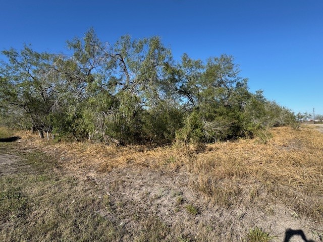 Tbd Frio Tynan, TX 78391 - Photo 3 of 3 a view of a yard with a tree