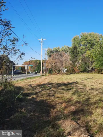 a view of road with large trees