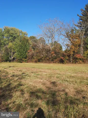 a view of yard with green space