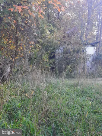 a view of a field of grass and trees