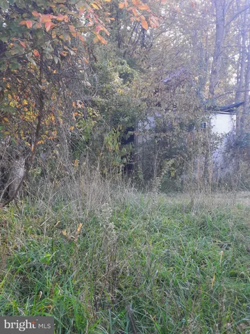 a view of a field of grass and trees