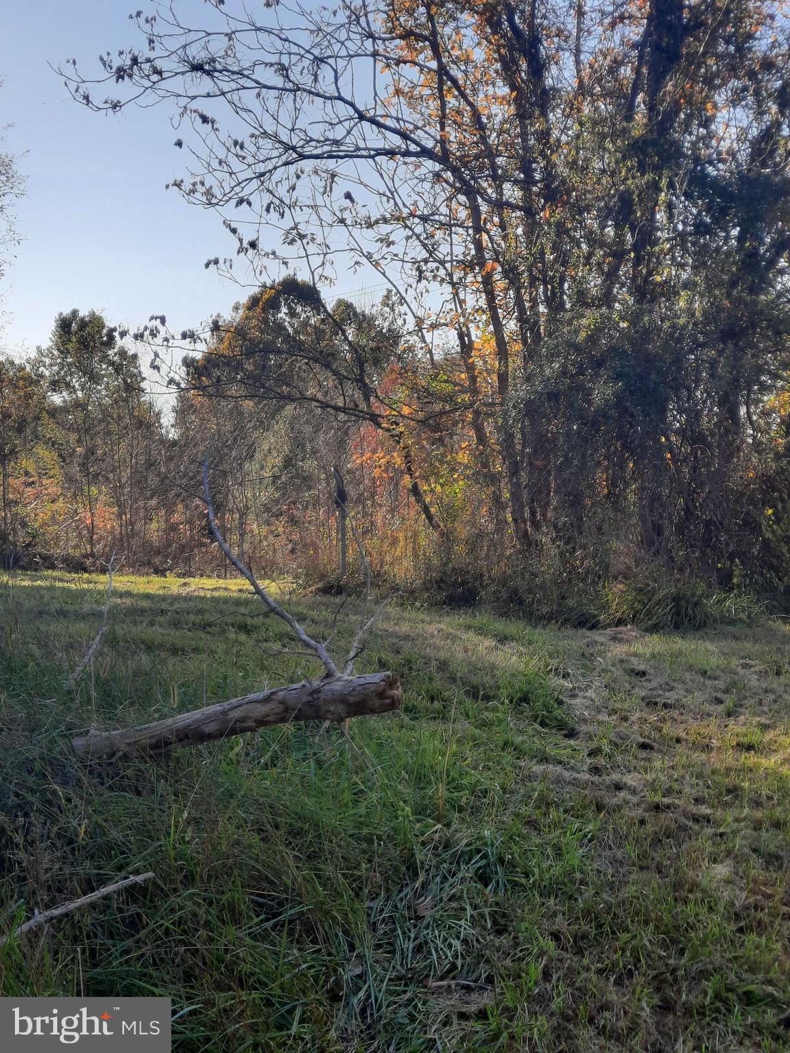 2950 Chaney Road Dunkirk, MD 20754 - Photo 5 of 8 a view of a field of grass and trees