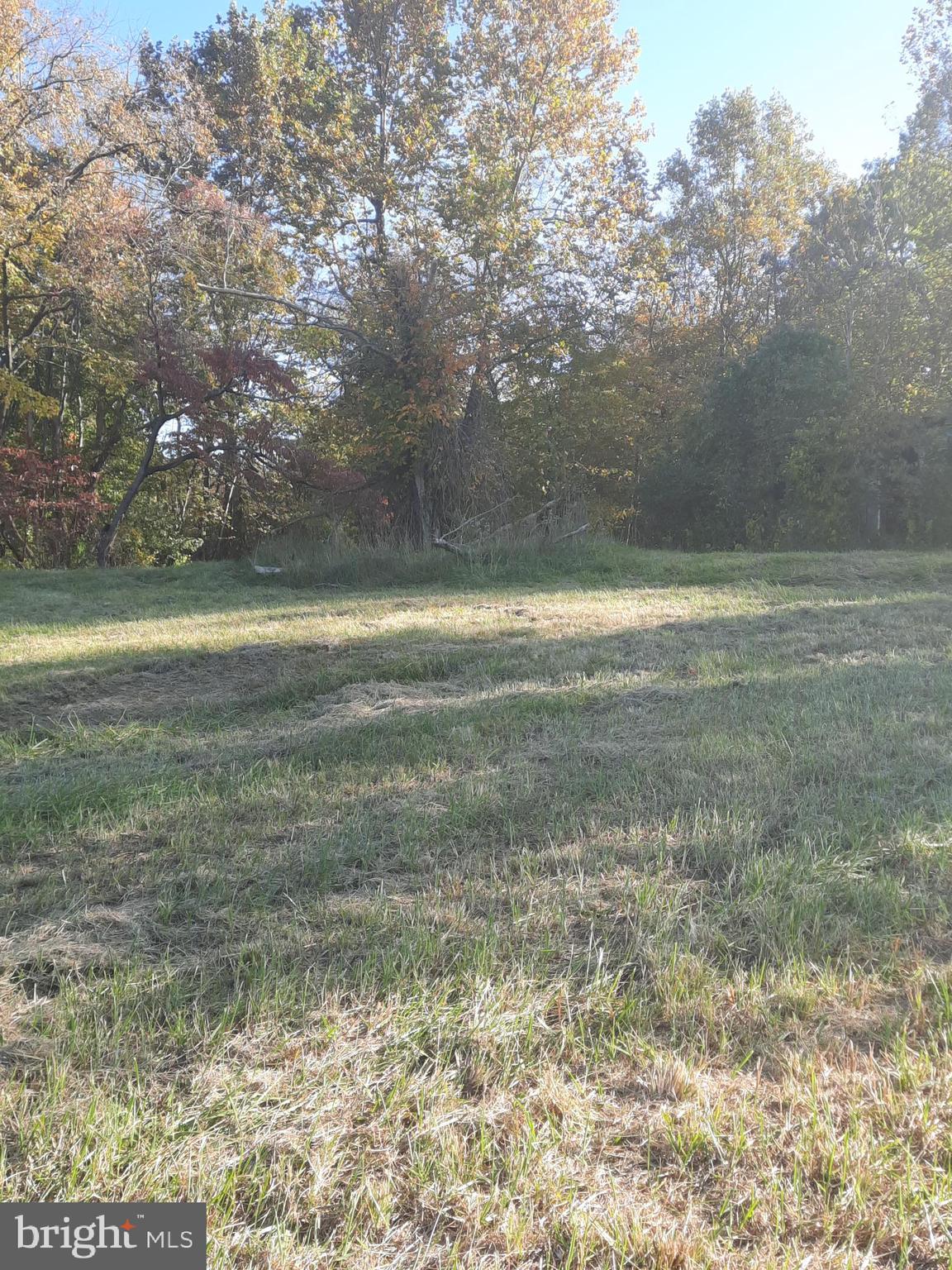 2950 Chaney Road Dunkirk, MD 20754 - Photo 6 of 8