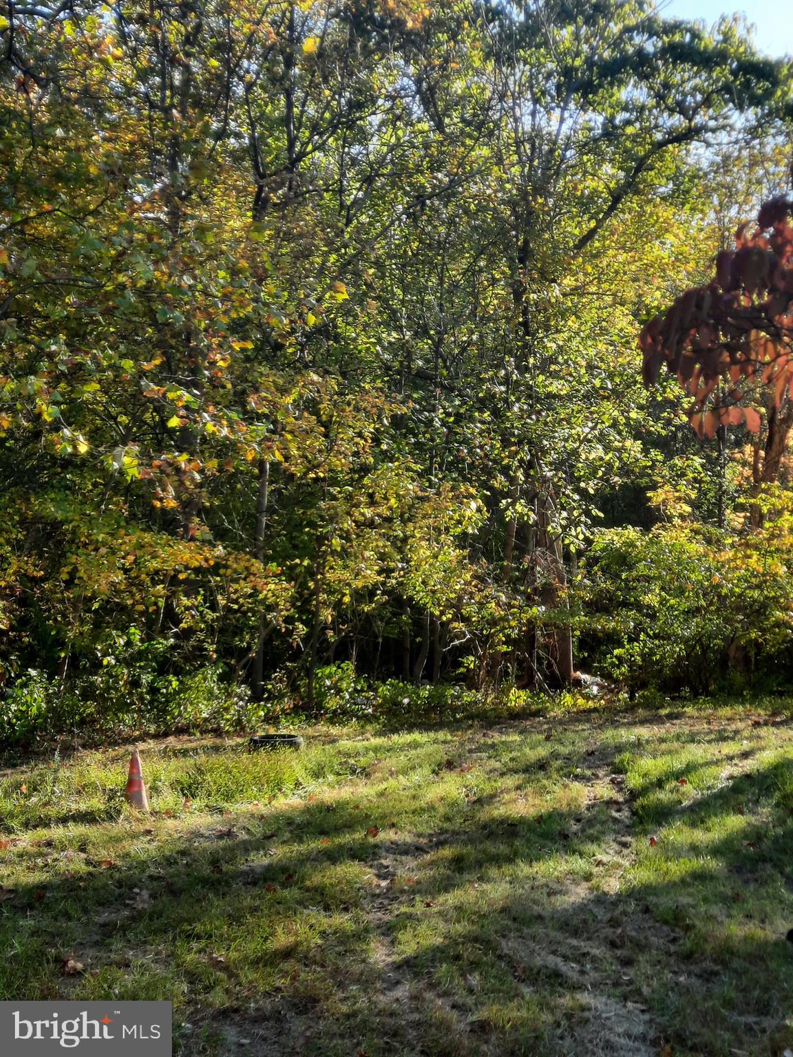 2950 Chaney Road Dunkirk, MD 20754 - Photo 7 of 8 a view of a green field