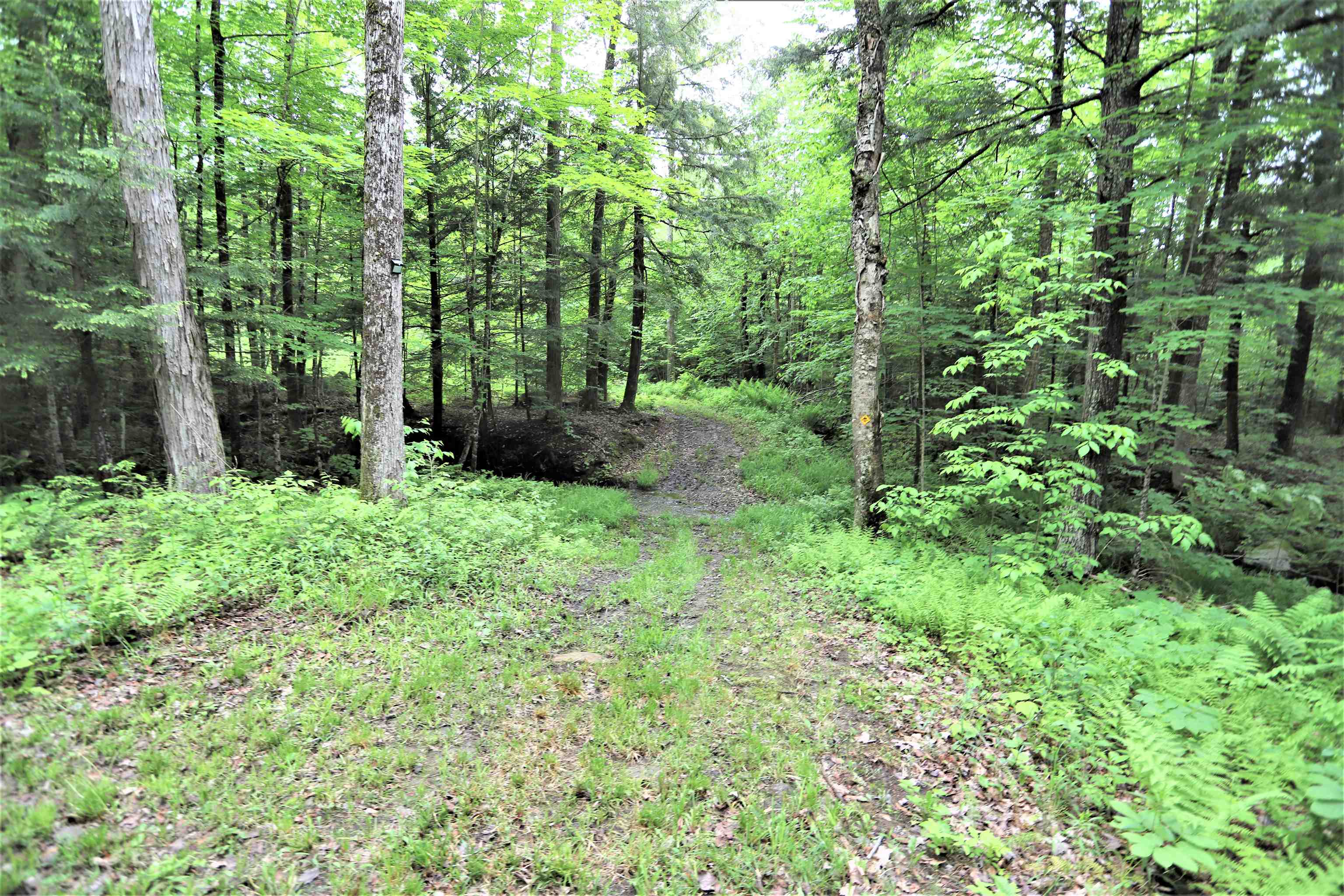 3993 Hinman Settler Road Derby, VT 05855 - Photo 30 of 39 Gallery Image 30