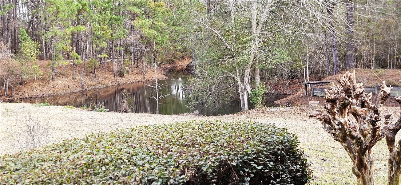 1851 I G Lanier Road Pembroke, GA 31321 - Photo 12 of 74