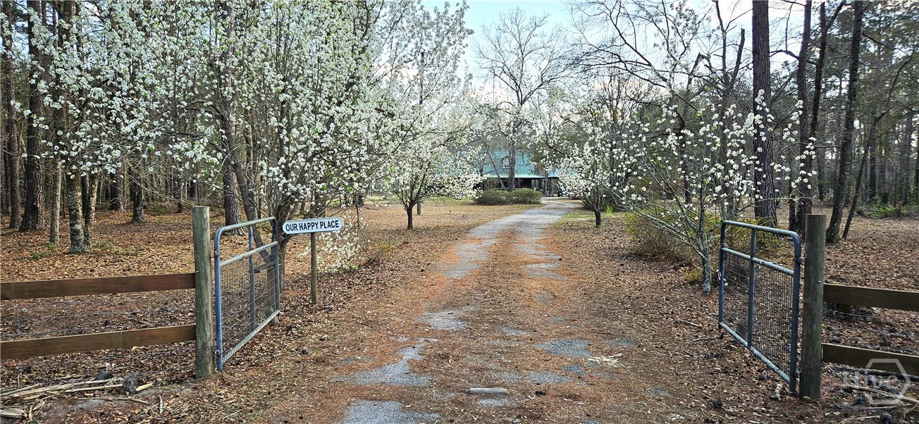 1851 I G Lanier Road Pembroke, GA 31321 - Photo 3 of 74