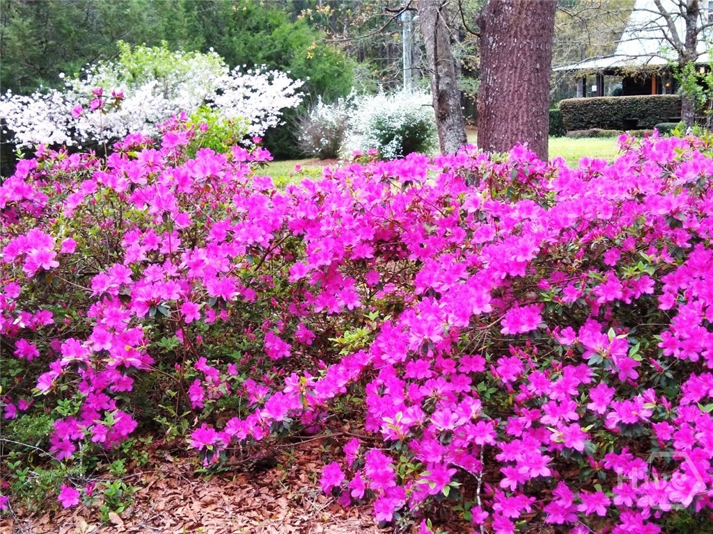 1851 I G Lanier Road Pembroke, GA 31321 - Photo 5 of 74