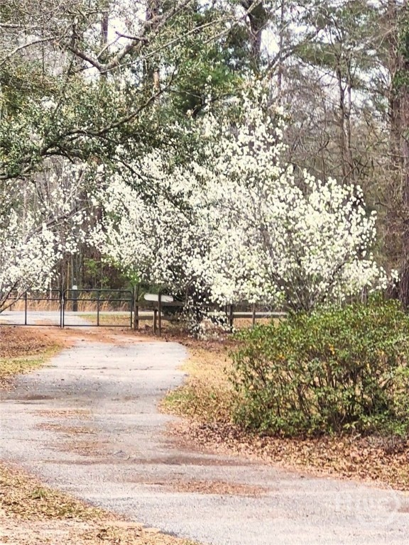 1851 I G Lanier Road Pembroke, GA 31321 - Photo 6 of 74