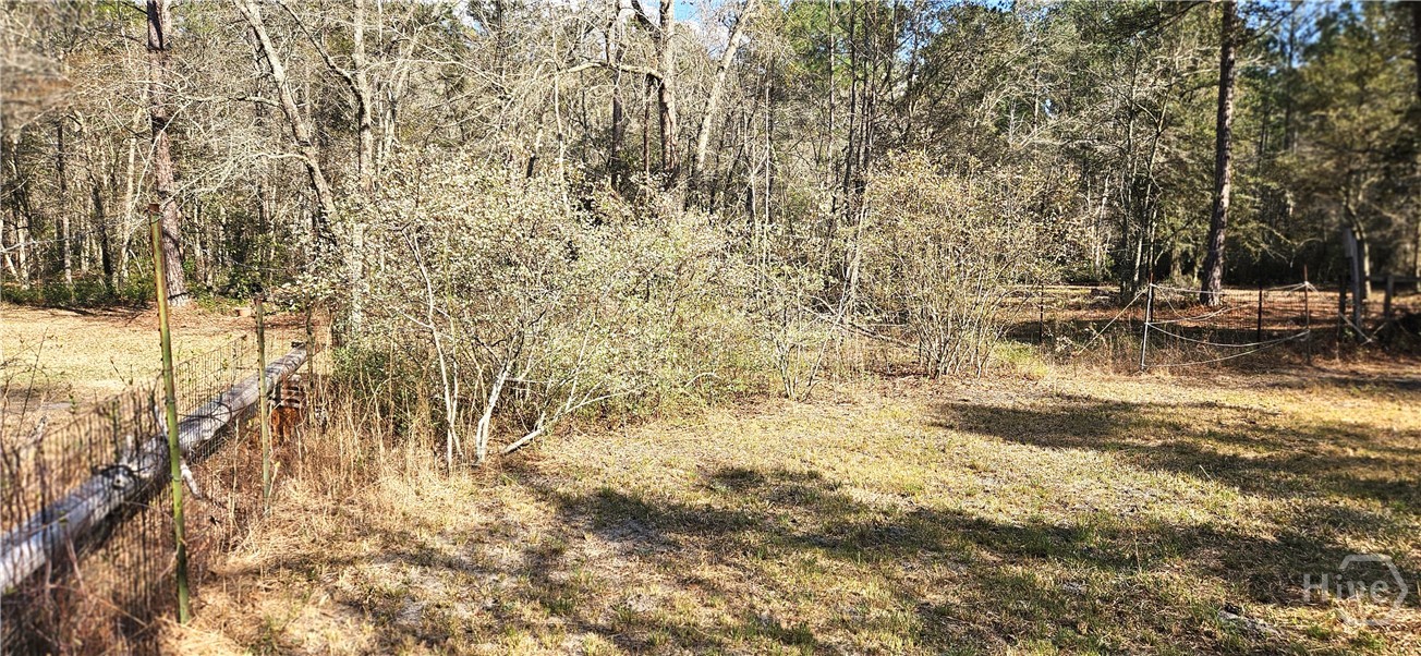 1851 I G Lanier Road Pembroke, GA 31321 - Photo 73 of 74