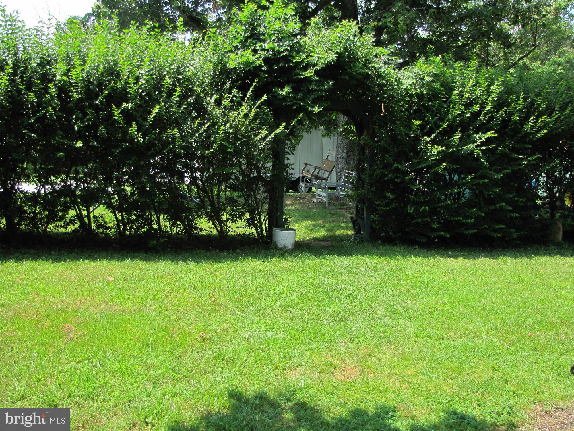 10547 Cliff Mills Road Marshall, VA 20115 - Photo 11 of 25 View of yard with arbor