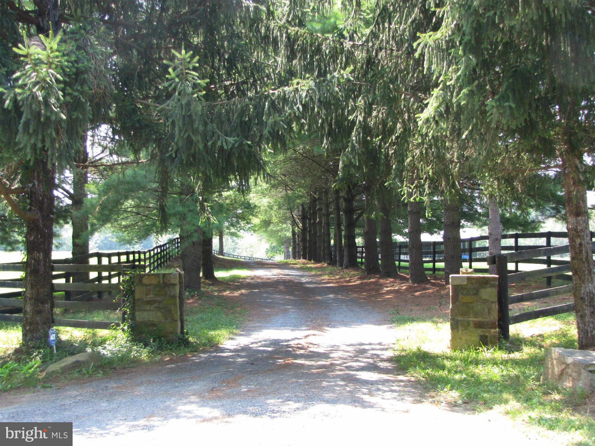 10547 Cliff Mills Road Marshall, VA 20115 - Photo 12 of 25 View of entrance drive