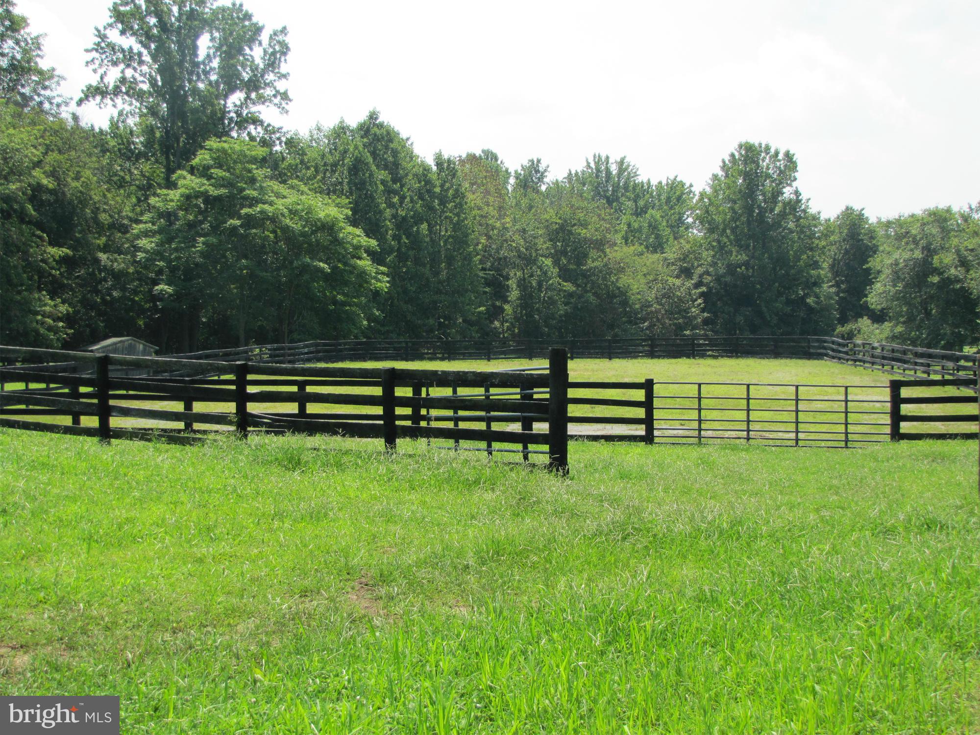 10547 Cliff Mills Road Marshall, VA 20115 - Photo 15 of 25 Paddock
