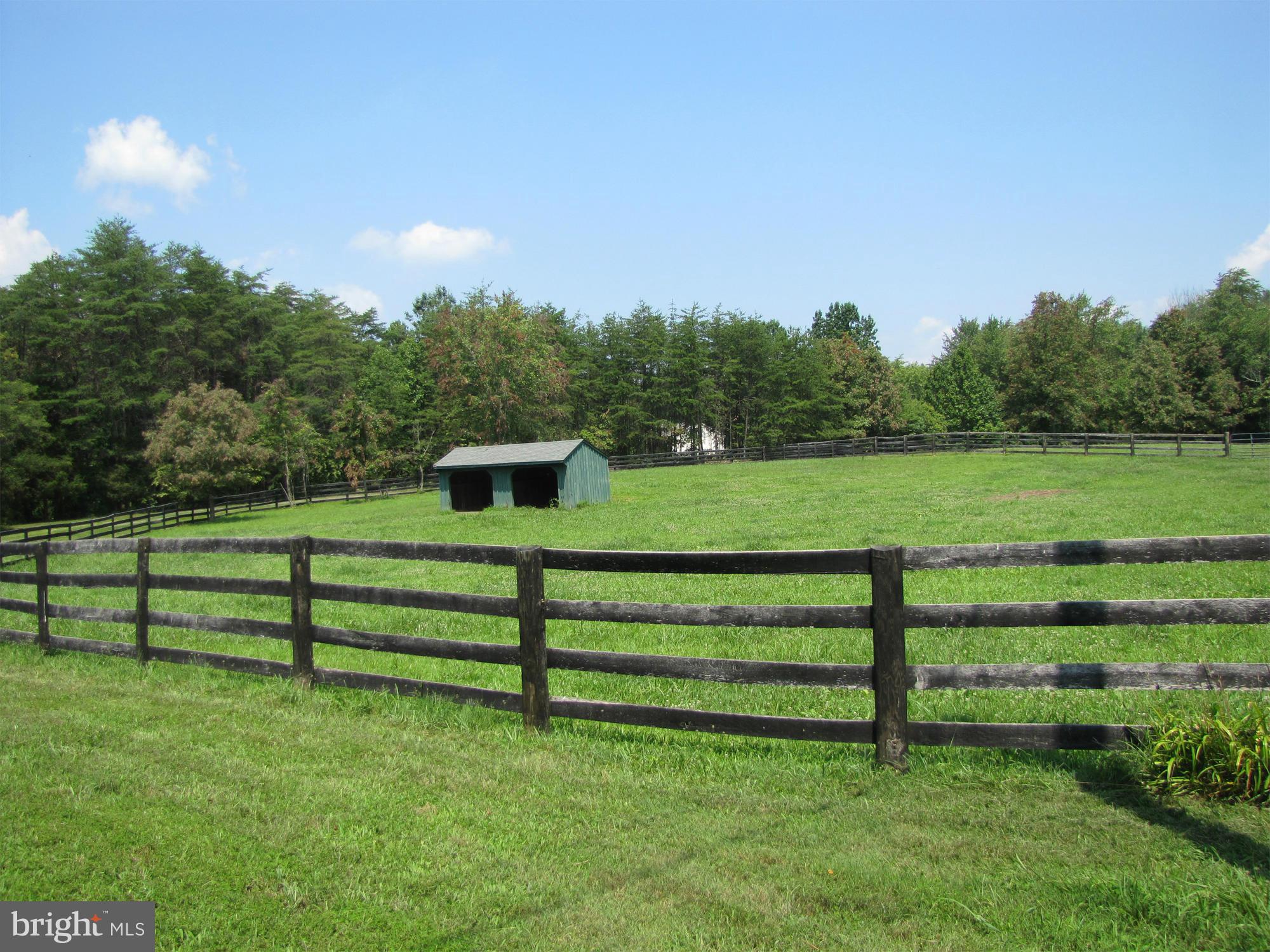 10547 Cliff Mills Road Marshall, VA 20115 - Photo 16 of 25 paddock