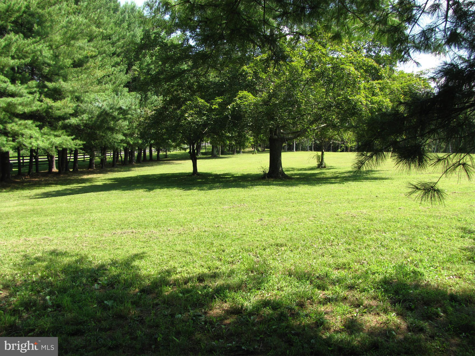 10547 Cliff Mills Road Marshall, VA 20115 - Photo 24 of 25 View of yard