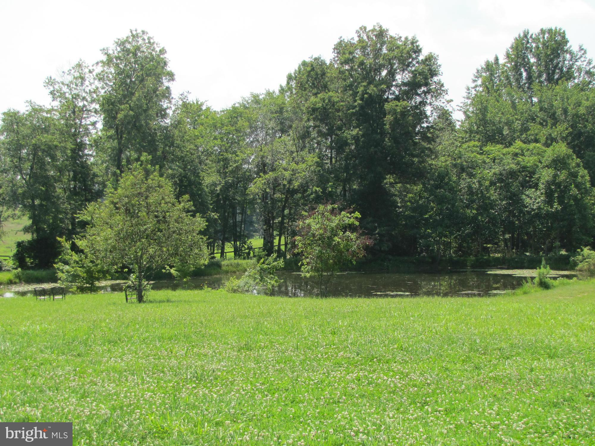10547 Cliff Mills Road Marshall, VA 20115 - Photo 25 of 25 back yard