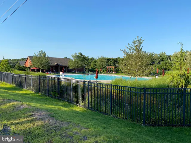 a view of a park with large tree