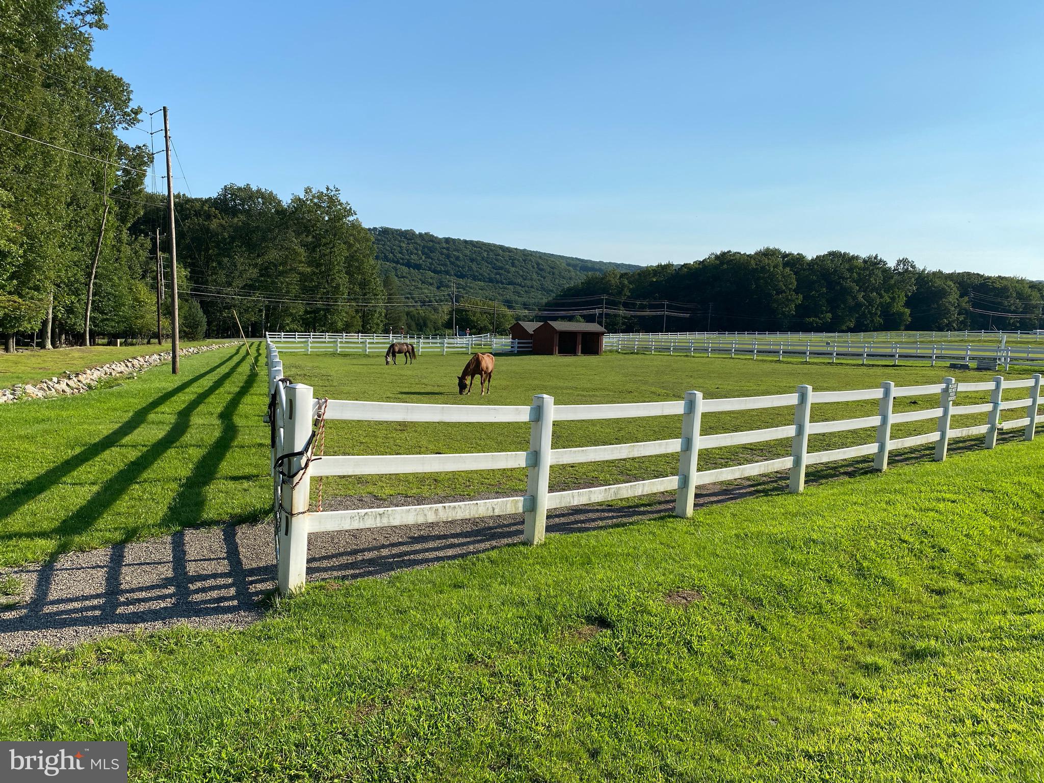 395 Horseshoe Hazleton, PA 18202 - Photo 22 of 24 a view of a park with large trees