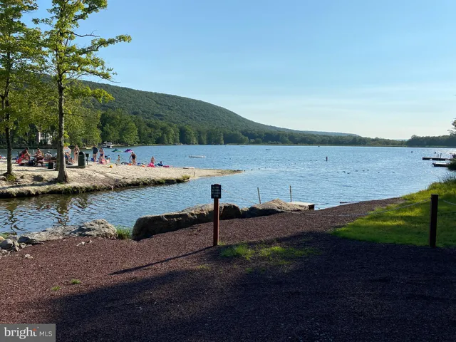 a view of a lake with boats and palm trees