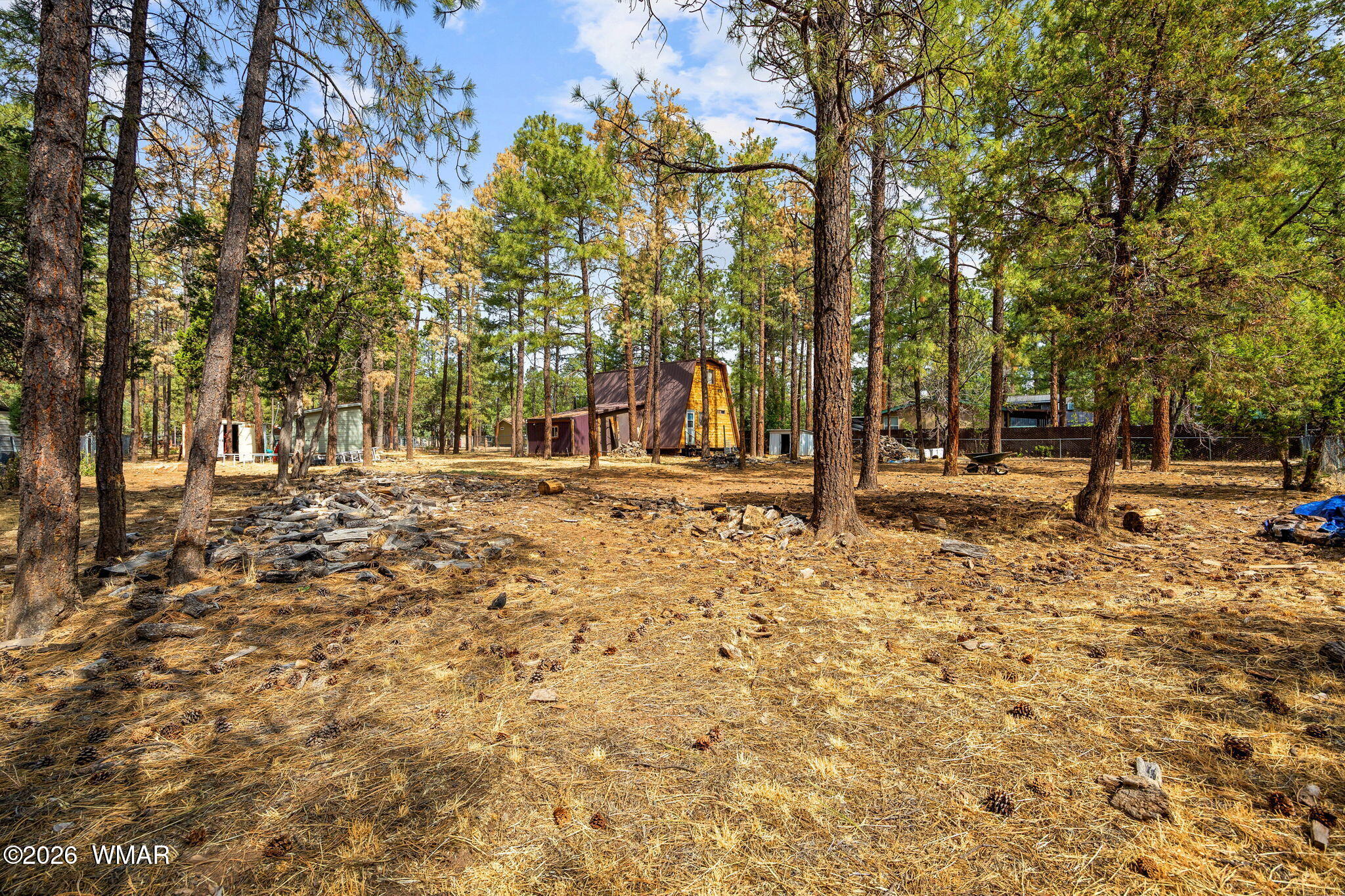 2861 Angel Trail Overgaard, AZ 85933 - Photo 19 of 28
