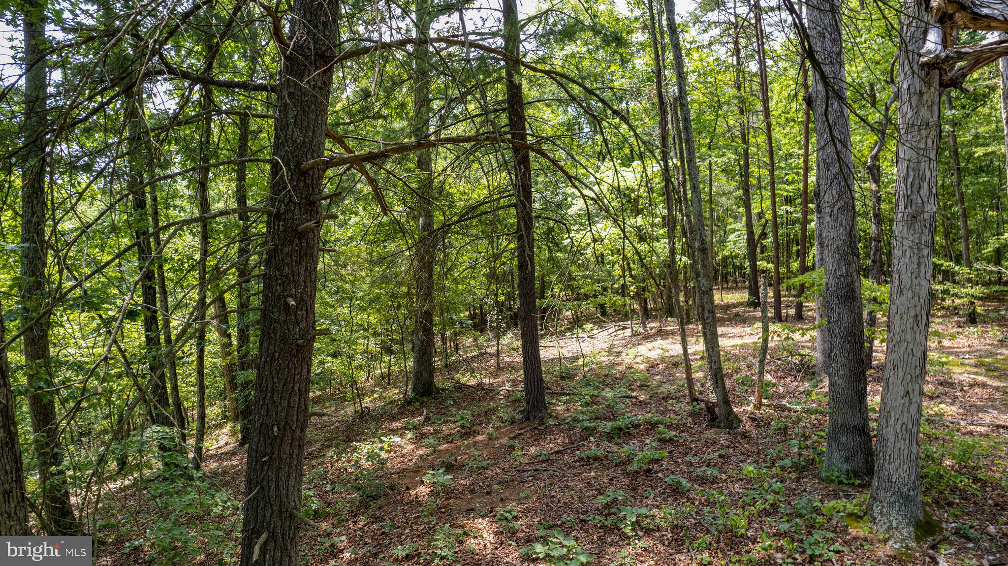 Loudan Lane Berkeley Springs, WV 25411 - Photo 11 of 13 a view of outdoor space and trees
