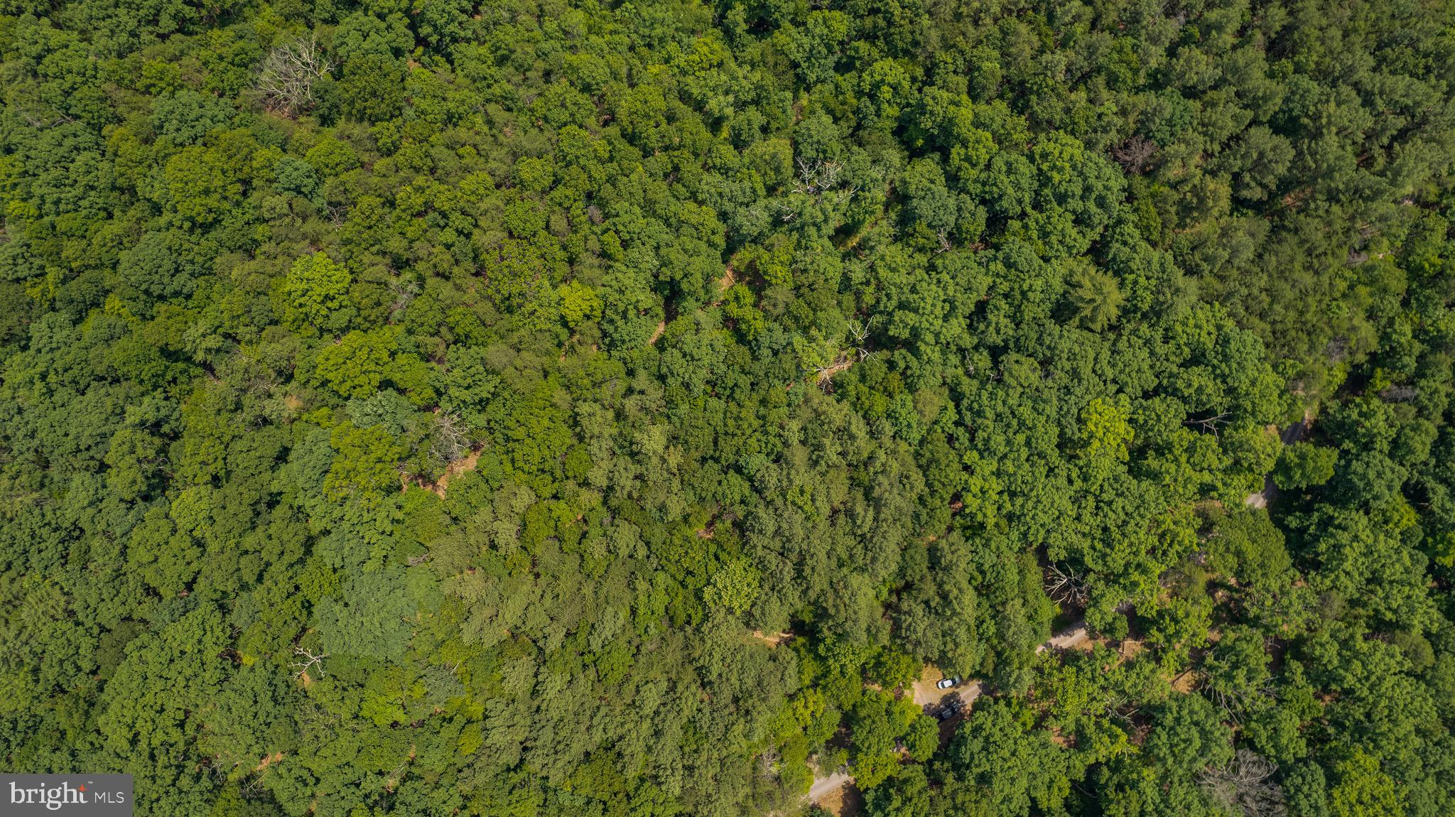 Loudan Lane Berkeley Springs, WV 25411 - Photo 13 of 13 a view of a green field