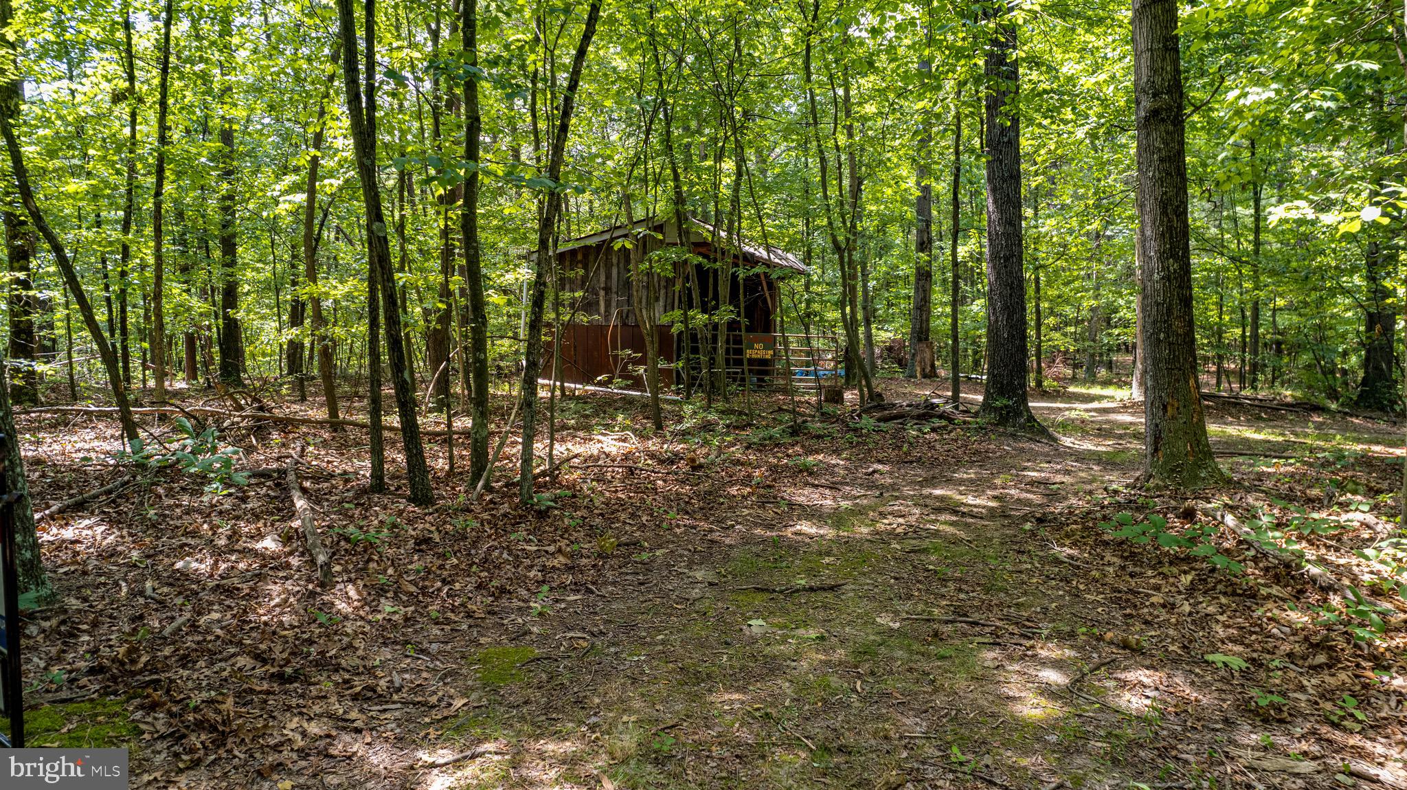 Loudan Lane Berkeley Springs, WV 25411 - Photo 5 of 13 a backyard of a house with lots of green space