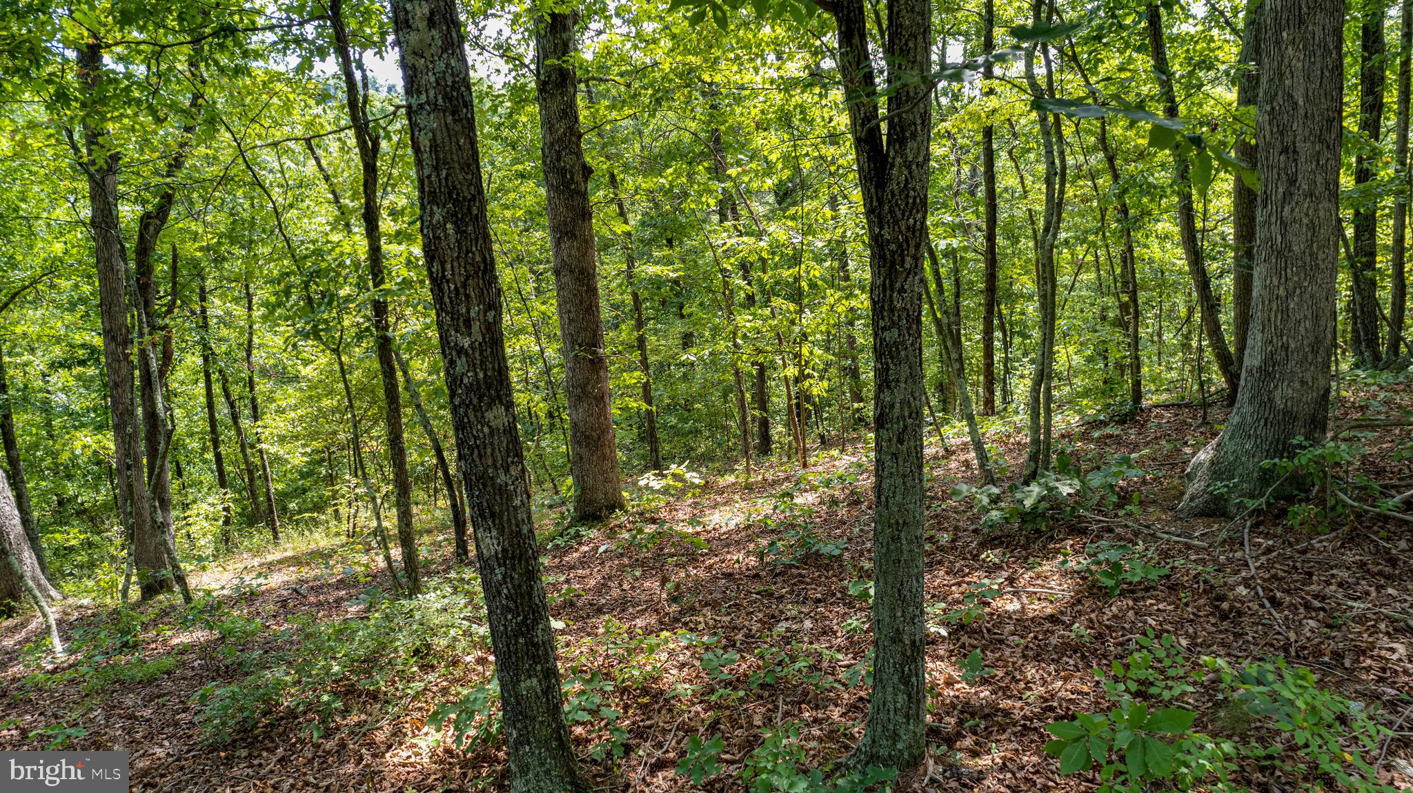 Loudan Lane Berkeley Springs, WV 25411 - Photo 10 of 13 a view of outdoor space and green space