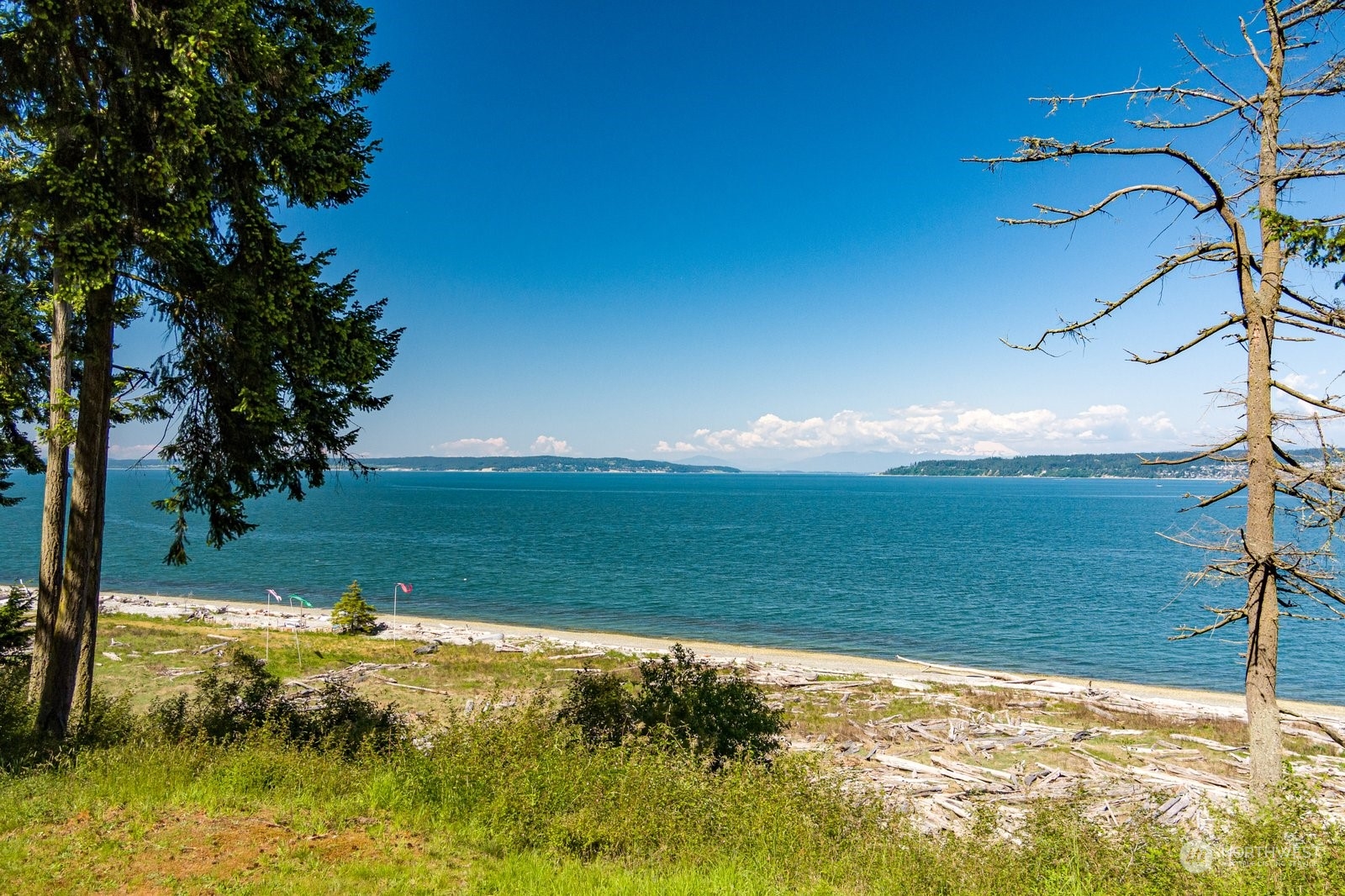 581 Race Road Coupeville, WA 98239 - Photo 8 of 13 Gallery Image 8