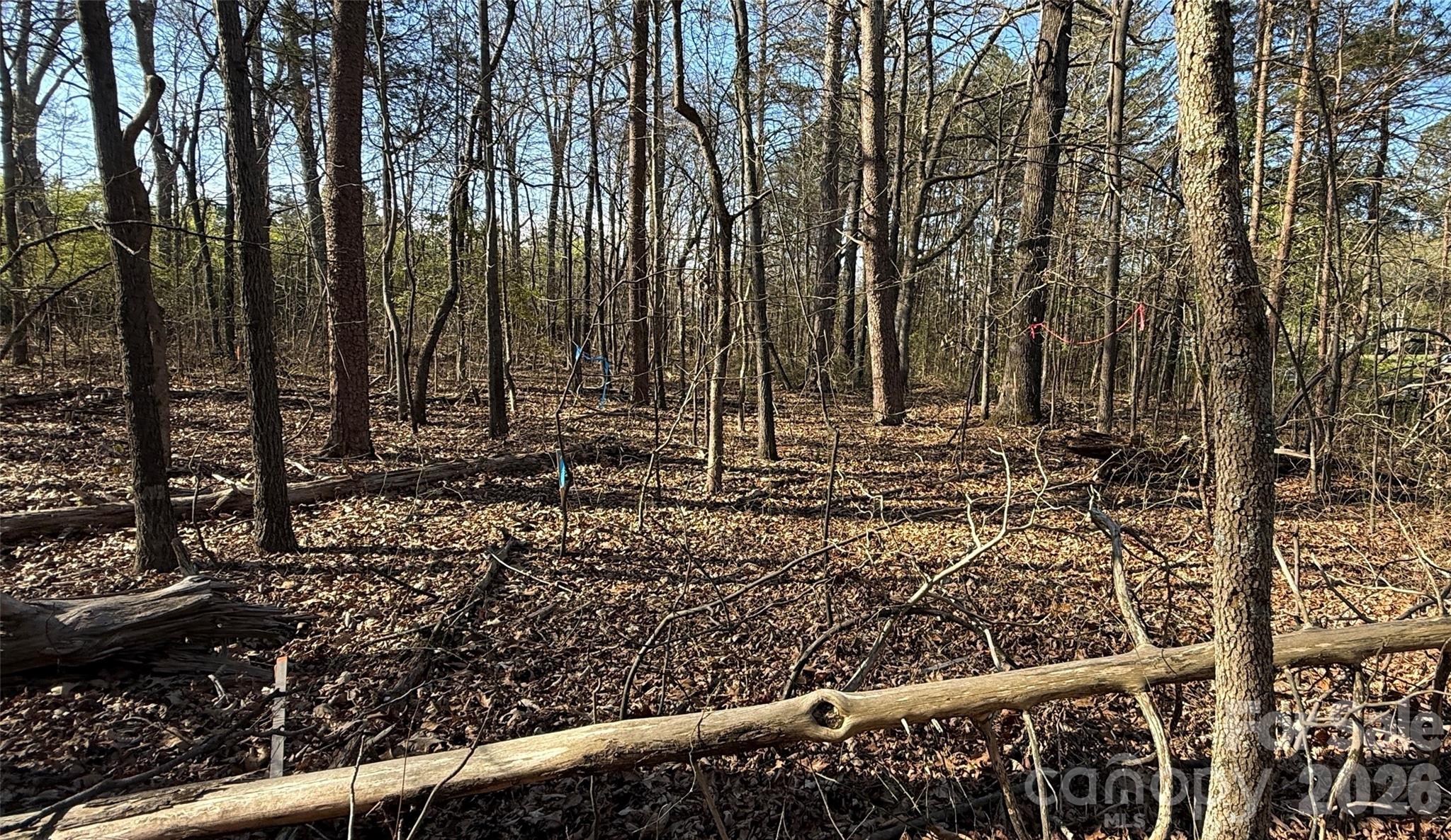 1361 Zeb Haynes Road, Unit 1 Maiden, NC 28650 - Photo 2 of 8