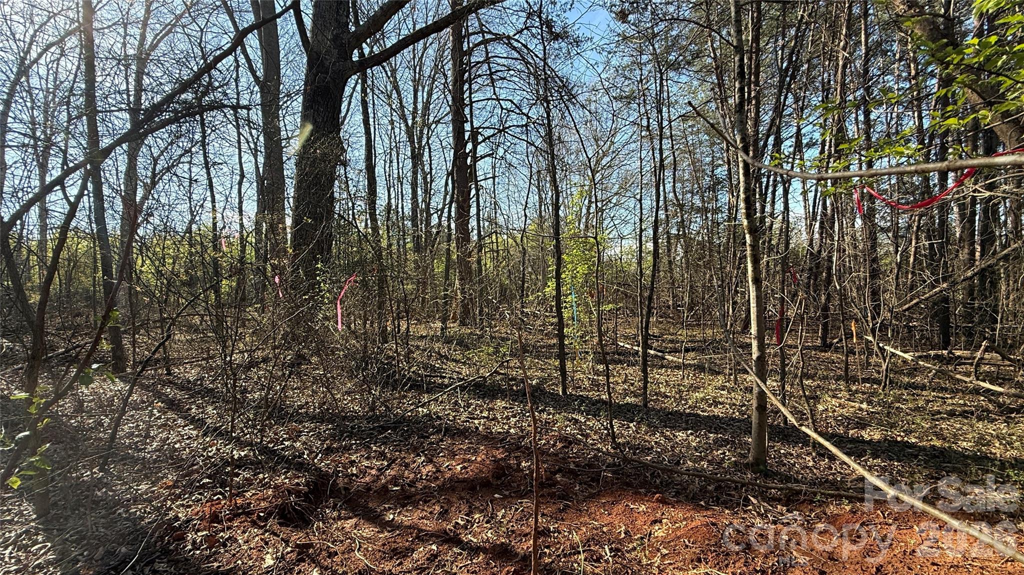 1361 Zeb Haynes Road, Unit 1 Maiden, NC 28650 - Photo 3 of 8