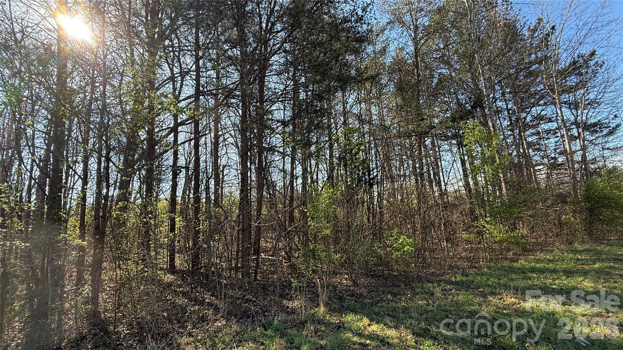 1361 Zeb Haynes Road, Unit 1 Maiden, NC 28650 - Photo 4 of 8