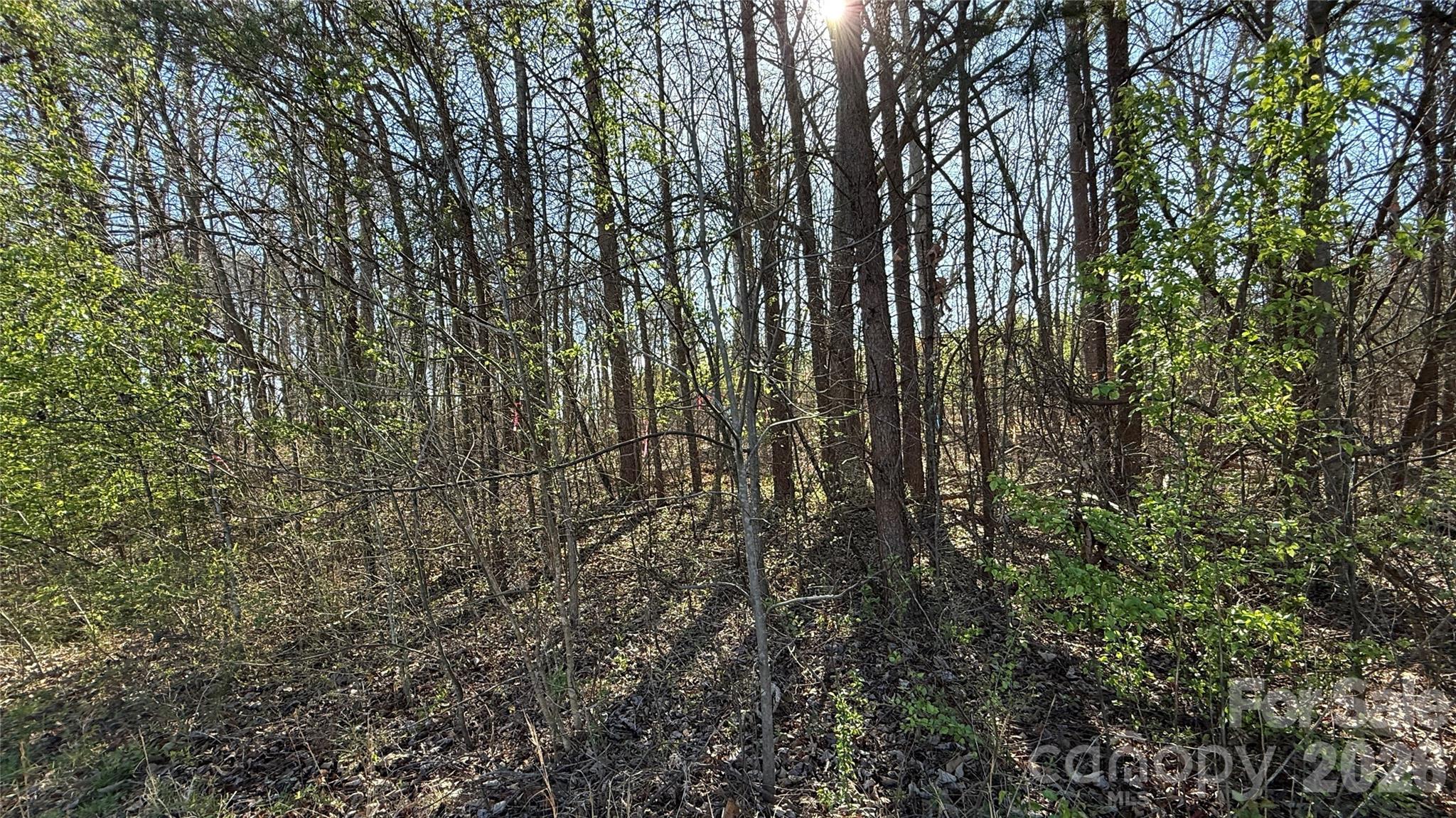 1361 Zeb Haynes Road, Unit 1 Maiden, NC 28650 - Photo 5 of 8