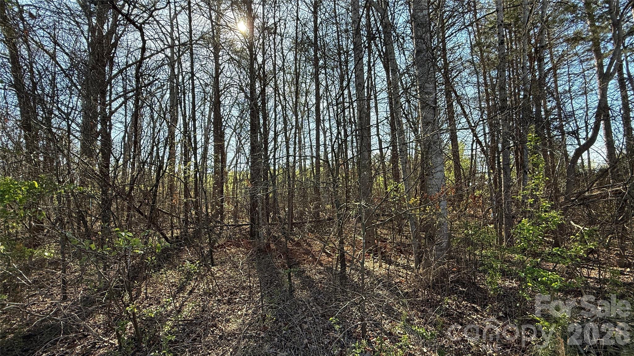 1361 Zeb Haynes Road, Unit 1 Maiden, NC 28650 - Photo 6 of 8