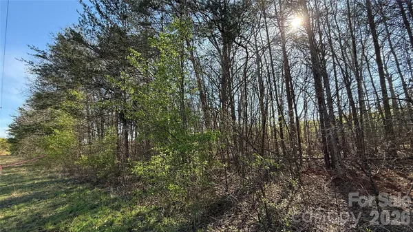 a view of forest