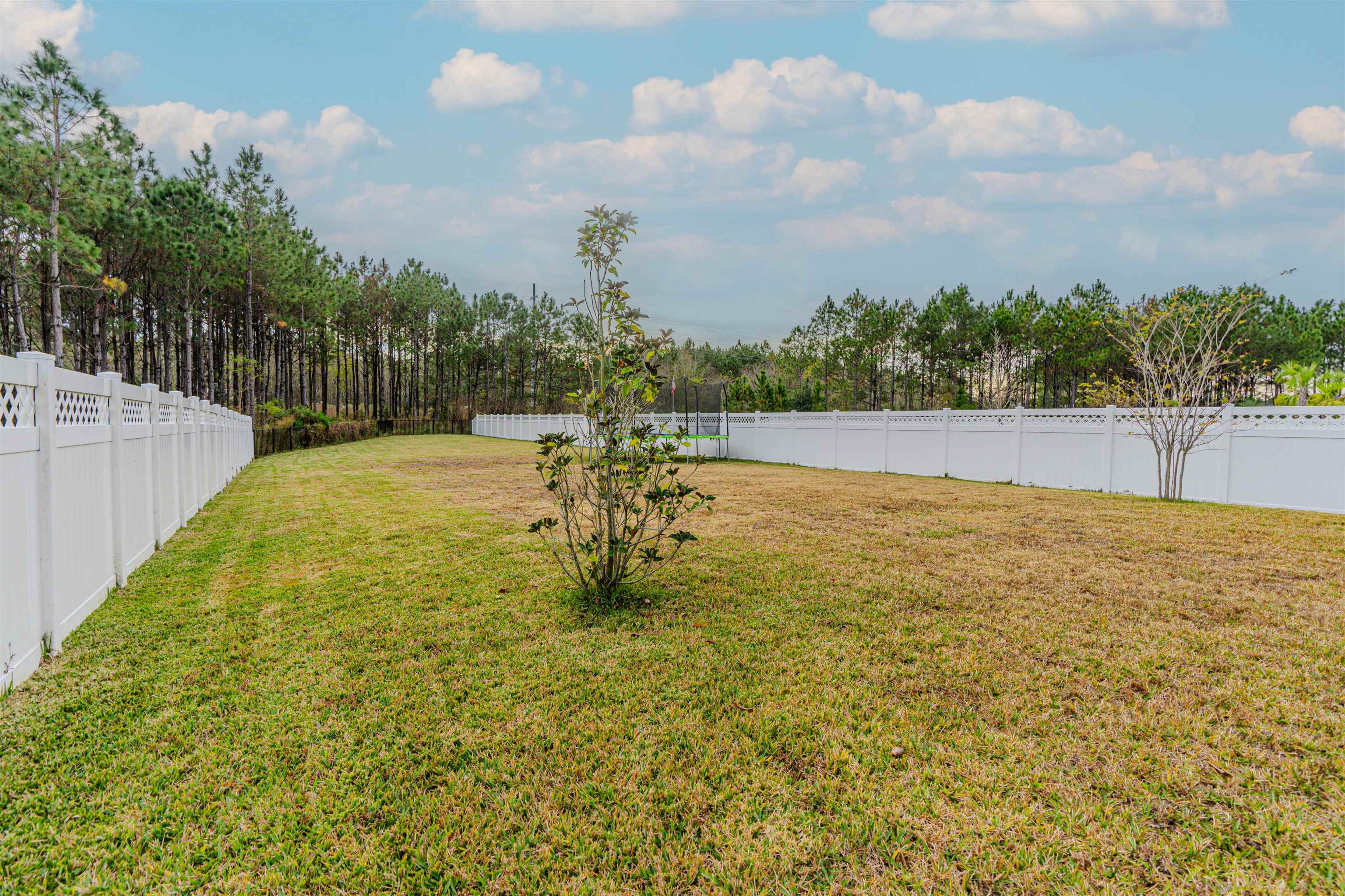 75 Pine Candle Way St. Augustine, FL 32092 - Photo 44 of 84