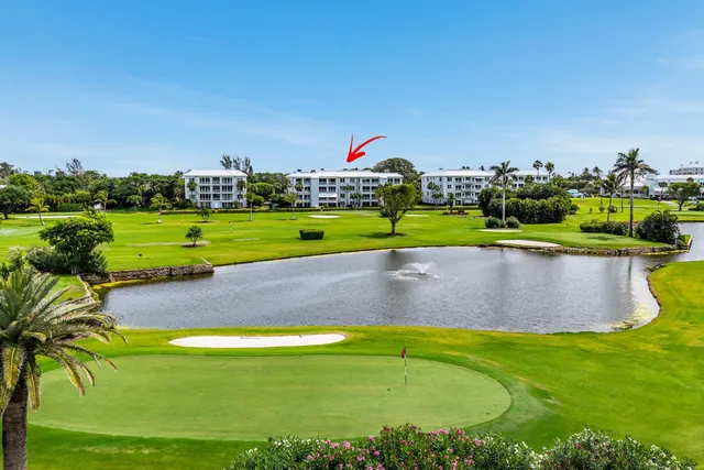 a view of a swimming pool with a garden and plants