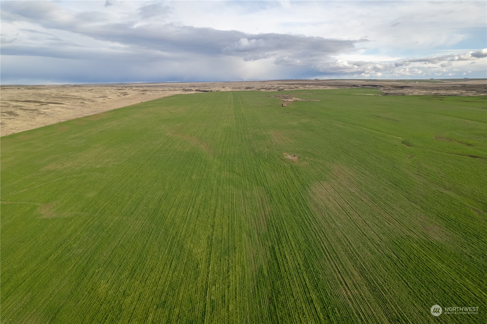 0 Rd 15.6 & Road Northeast Marlin, WA 98832 - Photo 10 of 18 Gallery Image 10