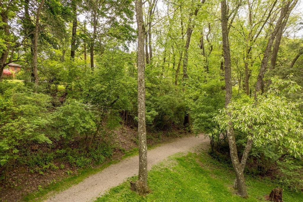 4768 Rolling Hills Road Pittsburgh, PA 15236 - Photo 45 of 46 a view of a forest with a tree
